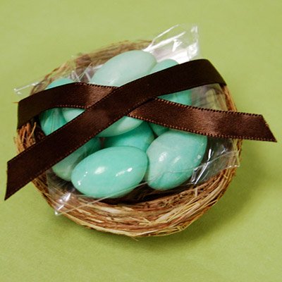 DIY Bird Nest Baby Shower Favor