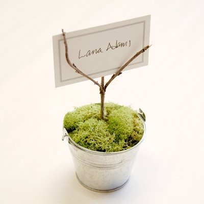 How to Assemble a Potted Moss Place Card Holder Favor for an Eco Friendly Baby Shower?